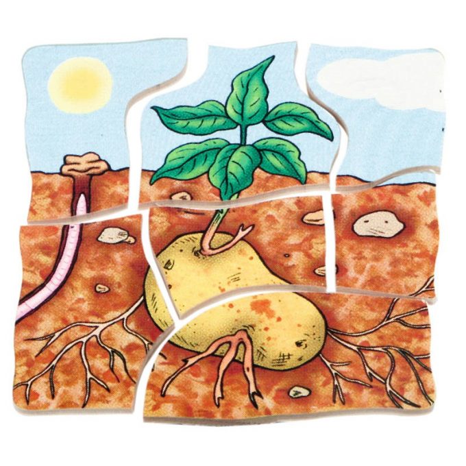 Kihiline kartulipusle