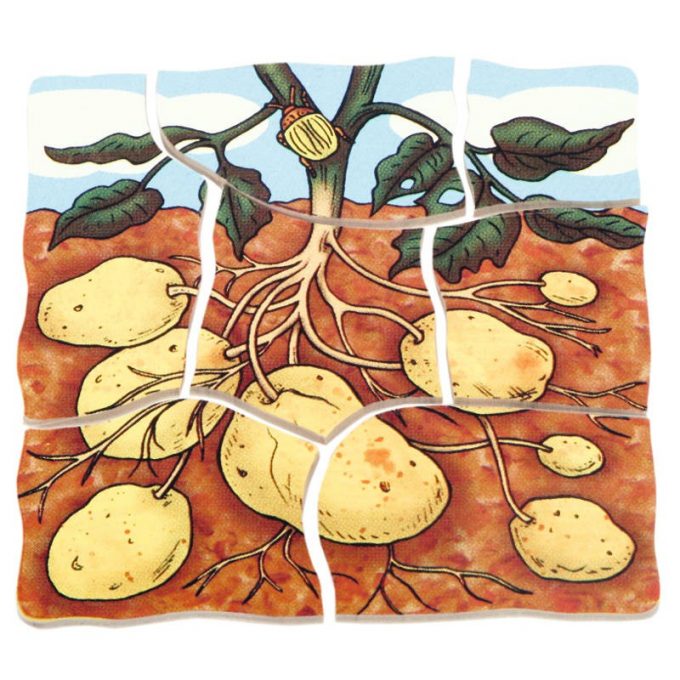 Kihiline kartulipusle