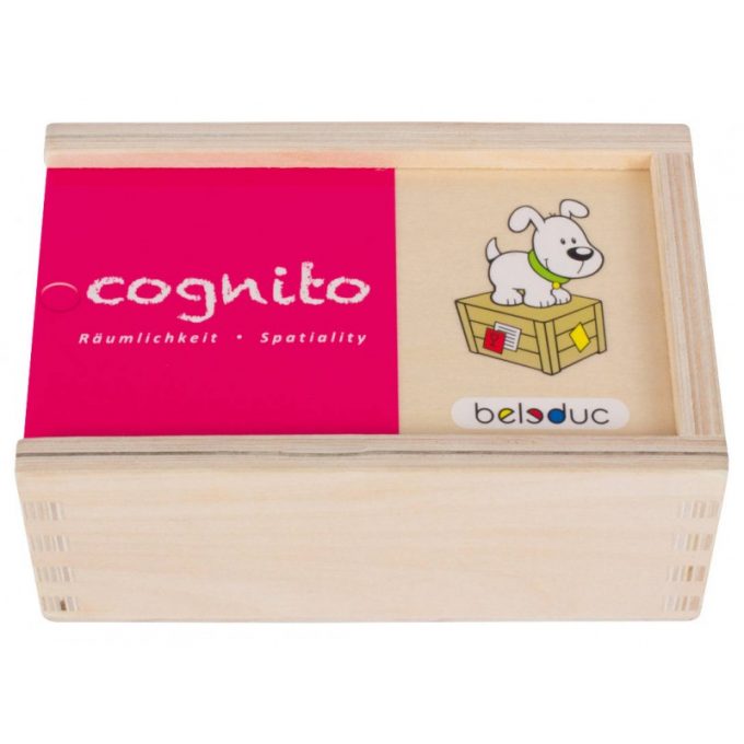 Puslemäng "Cognito" - ruumilised mõisted