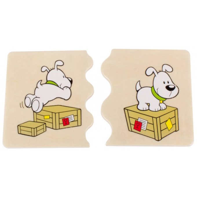 Puslemäng "Cognito" - ruumilised mõisted