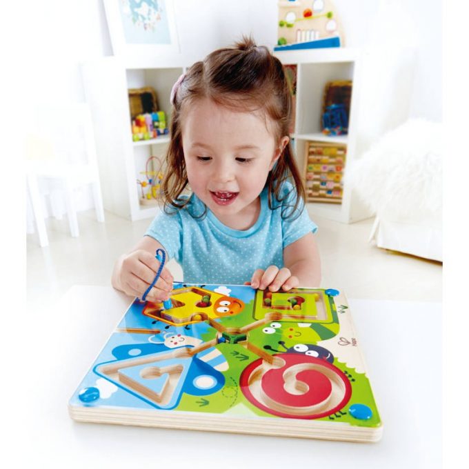 Magnetiline putukalabürint