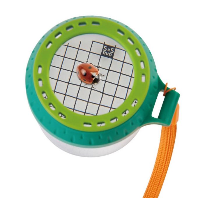 Suurendusklaasiga putukakarp