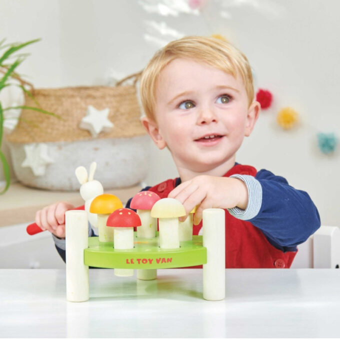 Toksimismäng seentega