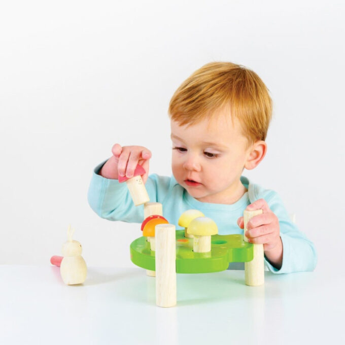 Toksimismäng seentega