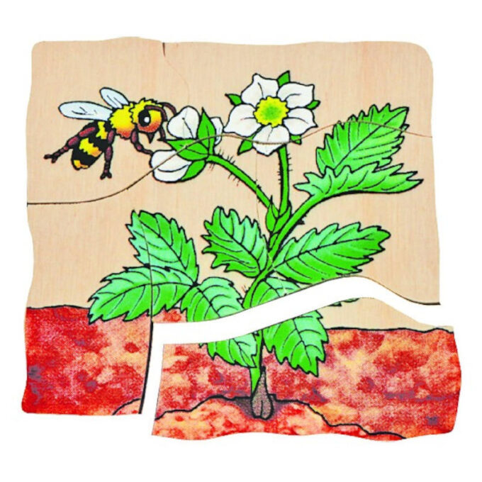 Kihiline maasikapusle