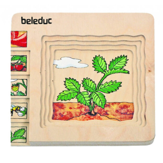 Kihiline maasikapusle