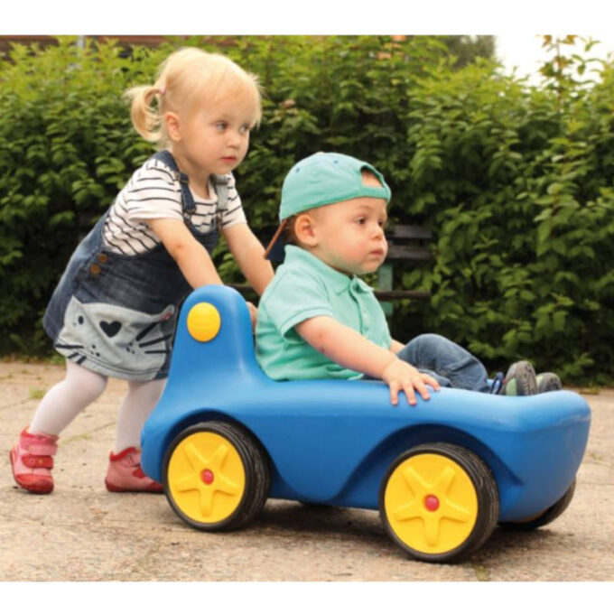 Pealeistutav auto (sinine)