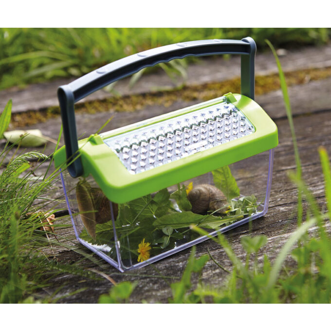 Suur putukakarp (viimased tooted)