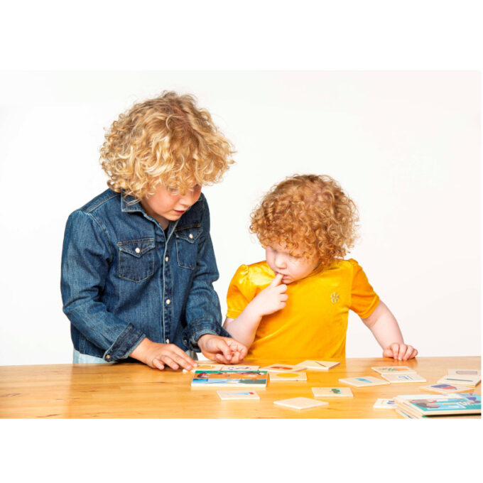 Õppemäng "Väikelapse maailm - seosta pildid"