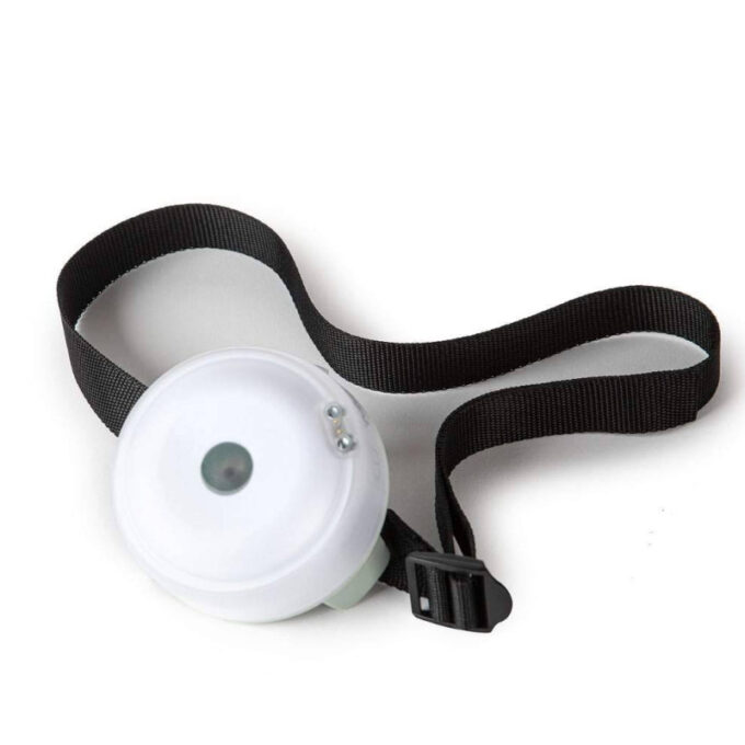 Reaktsioonituled "Lummic"