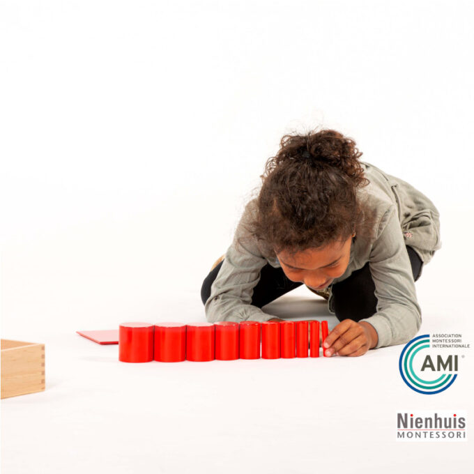 Värvilised silindrid - Nienhuis