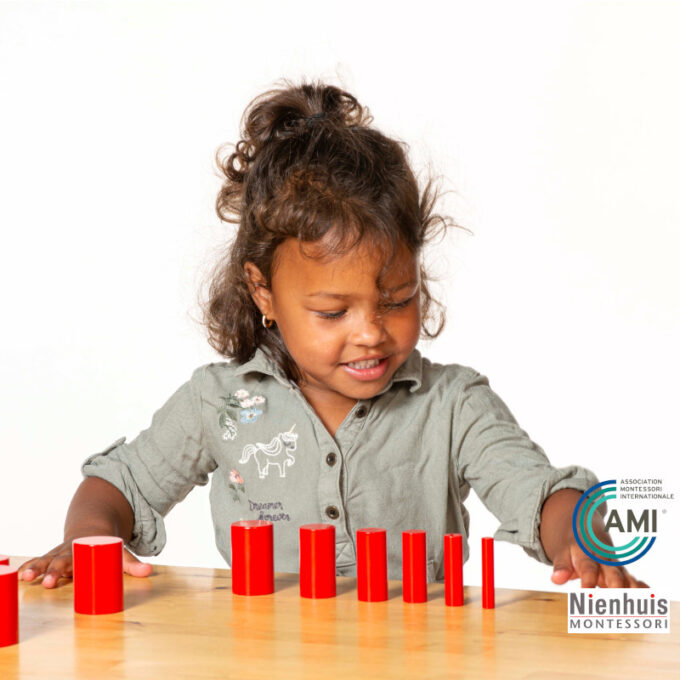 Värvilised silindrid - Nienhuis