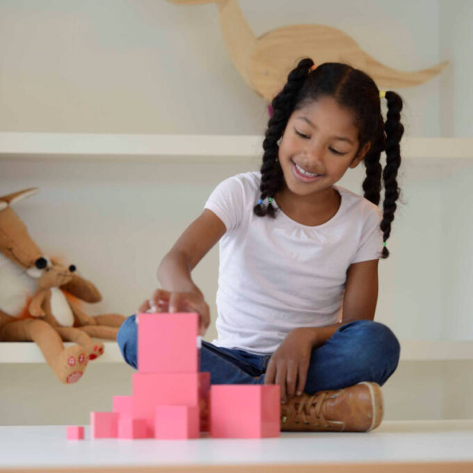 Roosa torn - Nienhuis (TOOTENÄIDIS)