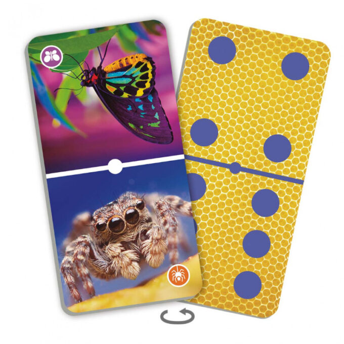 Loodusdoomino "Putukad"