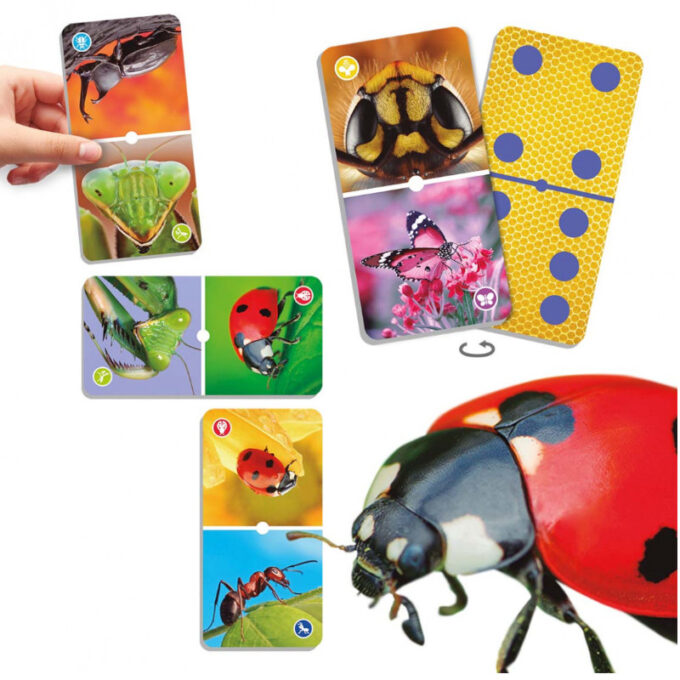 Loodusdoomino "Putukad"