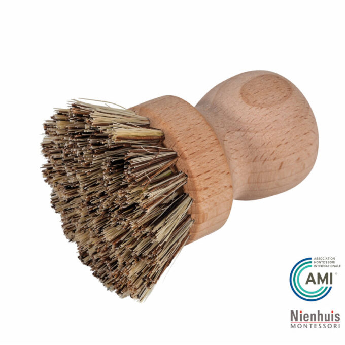 Lauapesuhari - Nienhuis