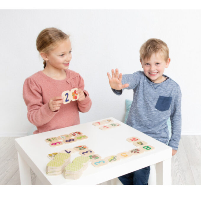 Loendamisdoomino "Dominext"