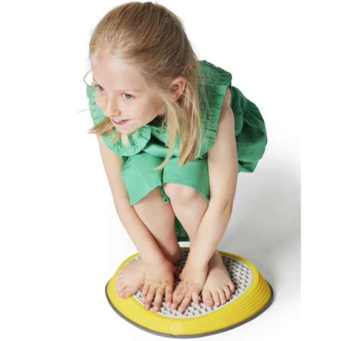 Sensoorsed jõekivid (5tk)