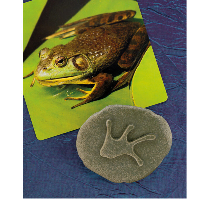 Kivist templid "Rohumaa jalajäljed"