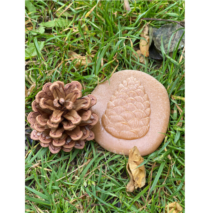 Kivist templid "Avasta loodust"