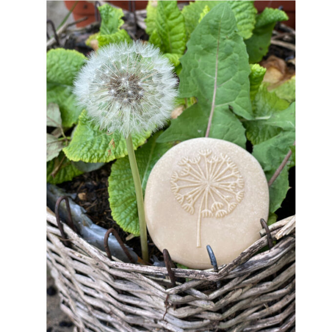 Kivist templid "Avasta loodust"