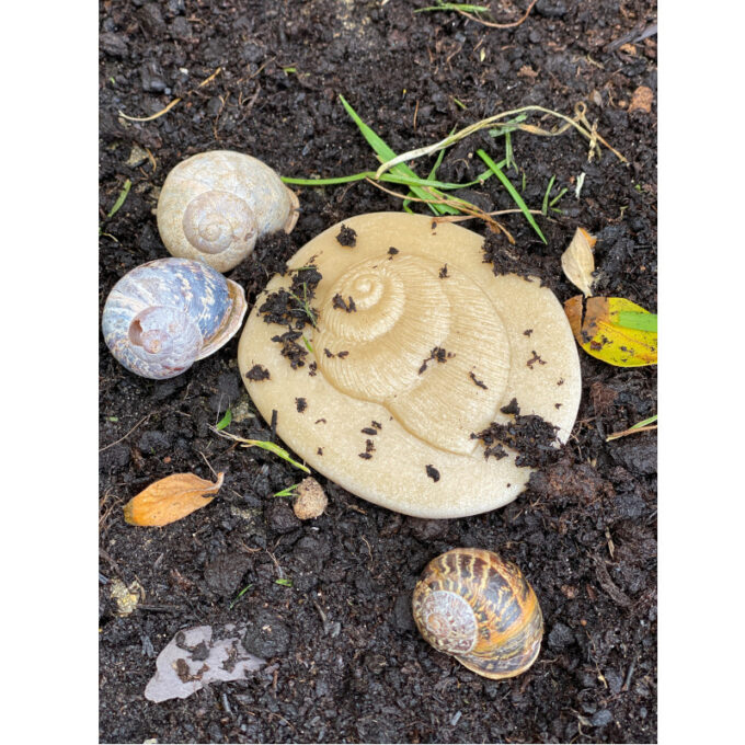 Kivist templid "Avasta loodust"