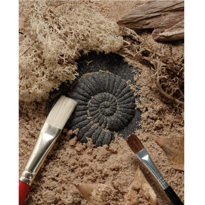 Kivist templid "Fossiilid"