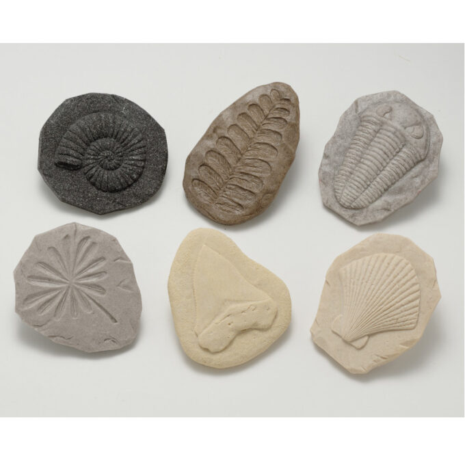 Kivist templid "Fossiilid"