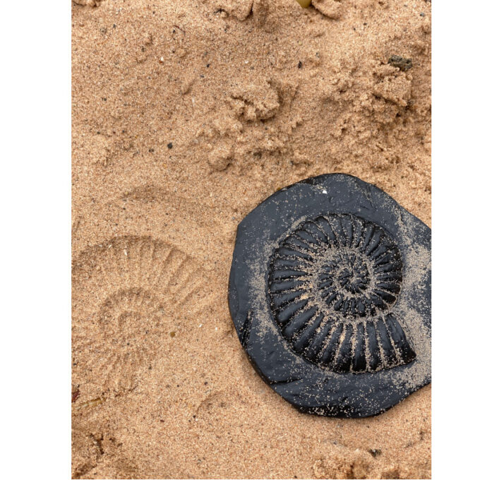 Kivist templid "Fossiilid"