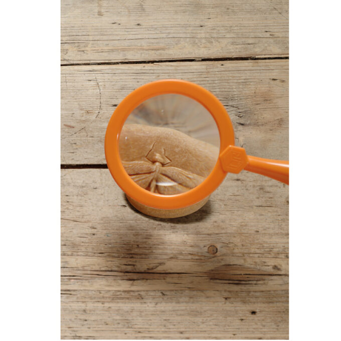 Kivist templid "Putukad"