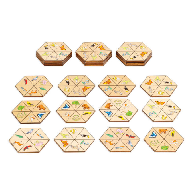 Kuusnurkade sobitamismäng “Loodus” mini