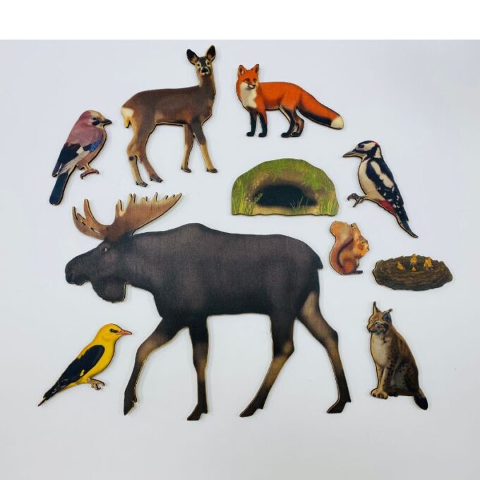 Suur magnetiline õppemäng "Mets" postriga