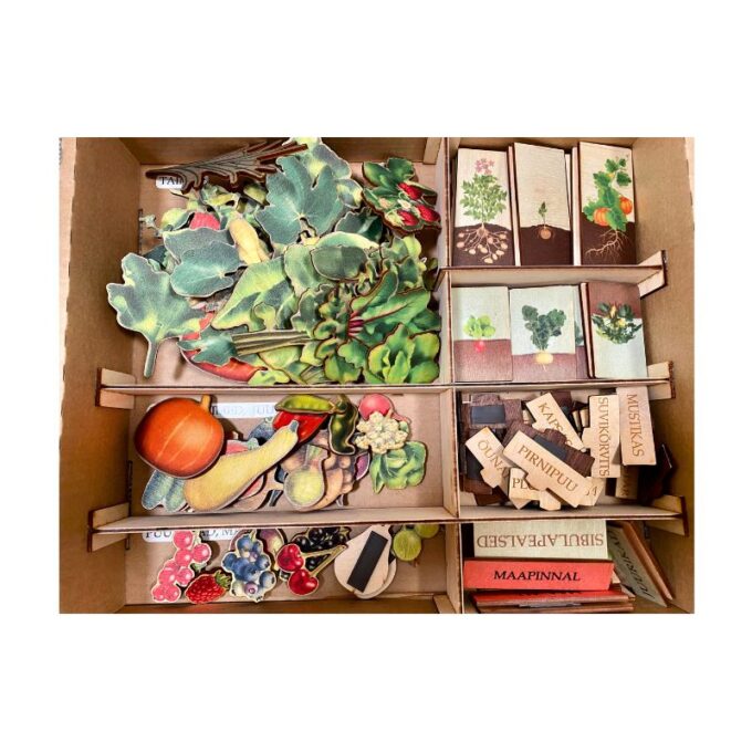 Suur magnetiline õppemäng "Aed" postriga