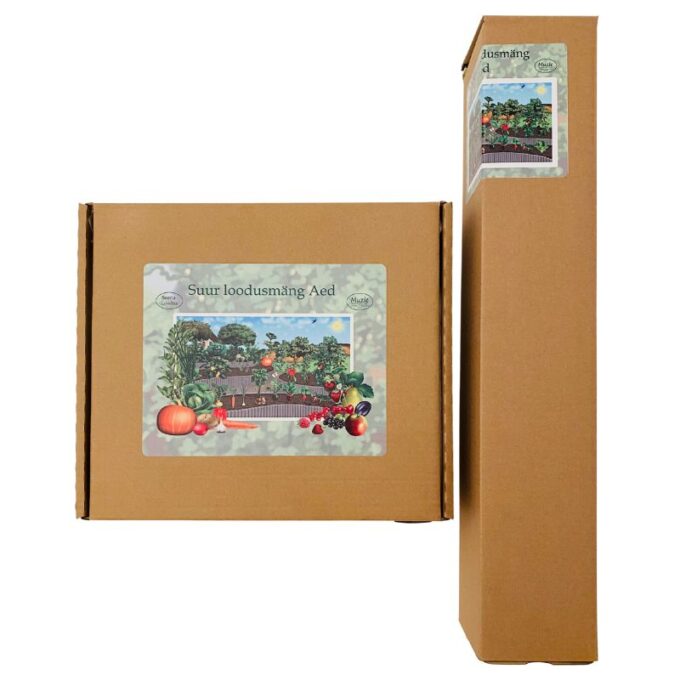 Suur magnetiline õppemäng "Aed" postriga