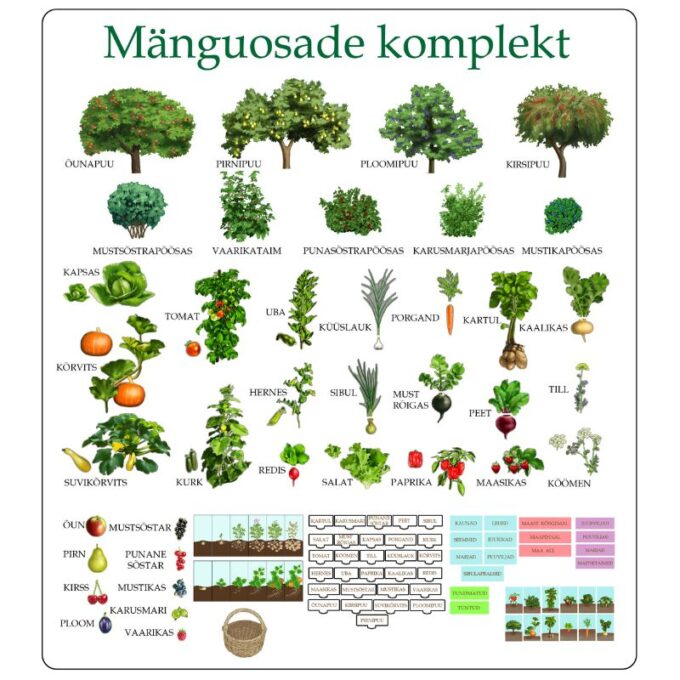 Suur magnetiline õppemäng "Aed" postriga
