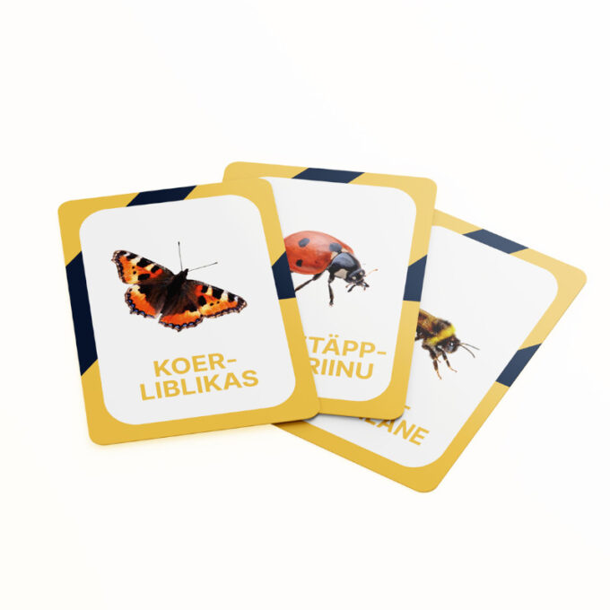 Õppekaardid "Eesti putukad"