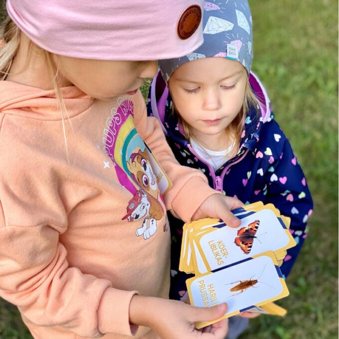 Õppekaardid "Eesti putukad"