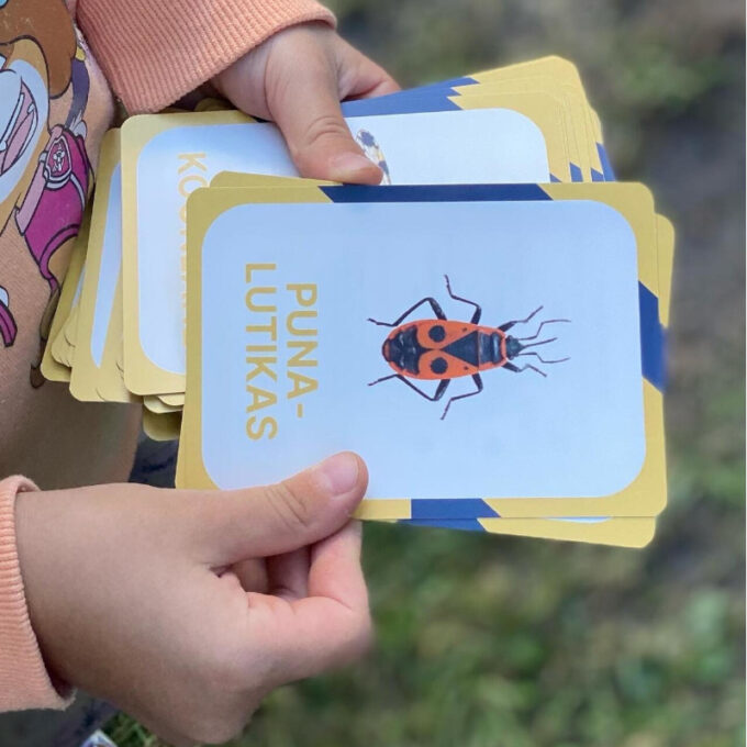 Õppekaardid "Eesti putukad"