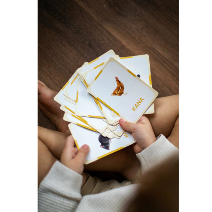 Õppekaardid "Eesti talu- ja koduloomad"