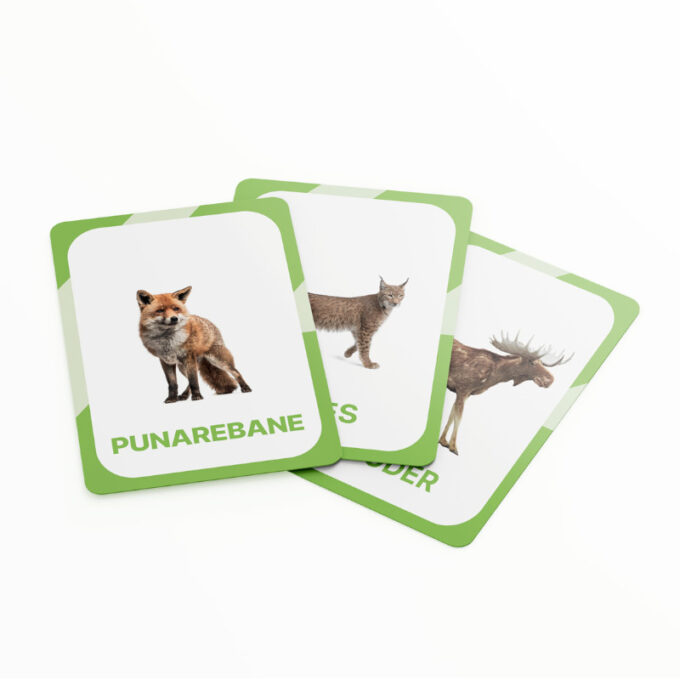 Õppekaardid "Metsloomad"