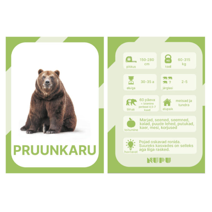 Õppekaardid "Metsloomad"