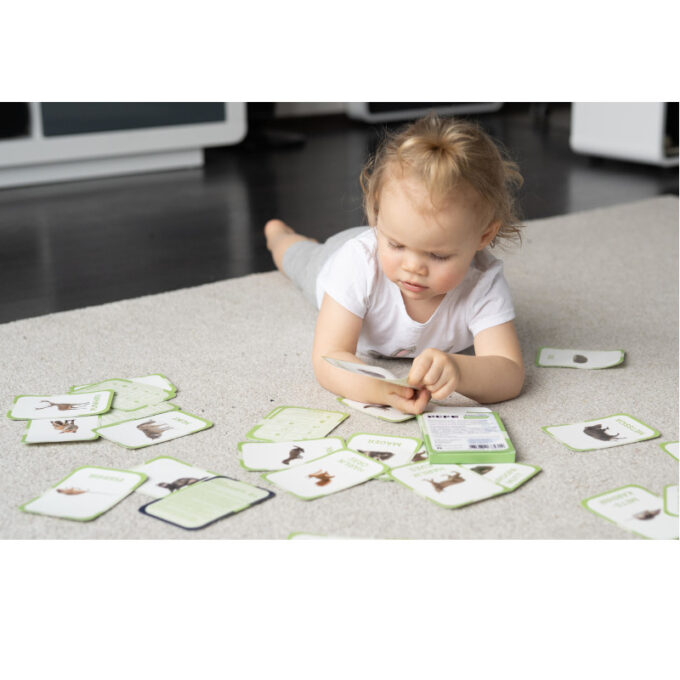 Õppekaardid "Metsloomad"