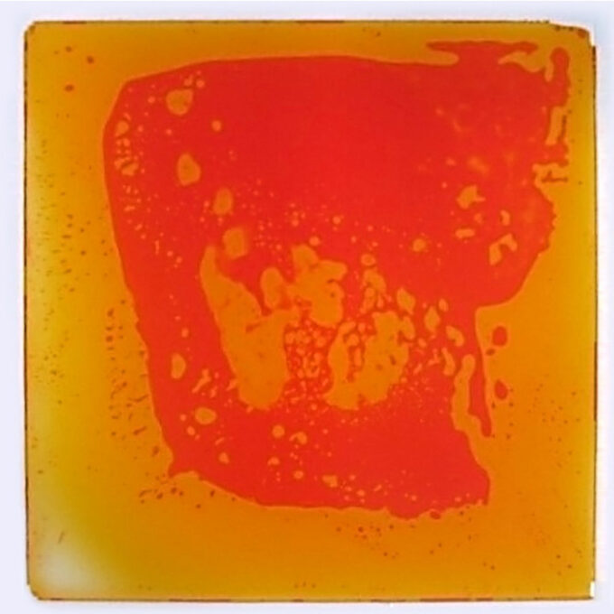 Sensoorsed plaadid 50 x 50cm (6 tk)