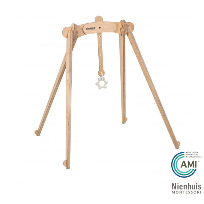 Heegeldatud haaramisrõngas tegeluskaarele - Nienhuis