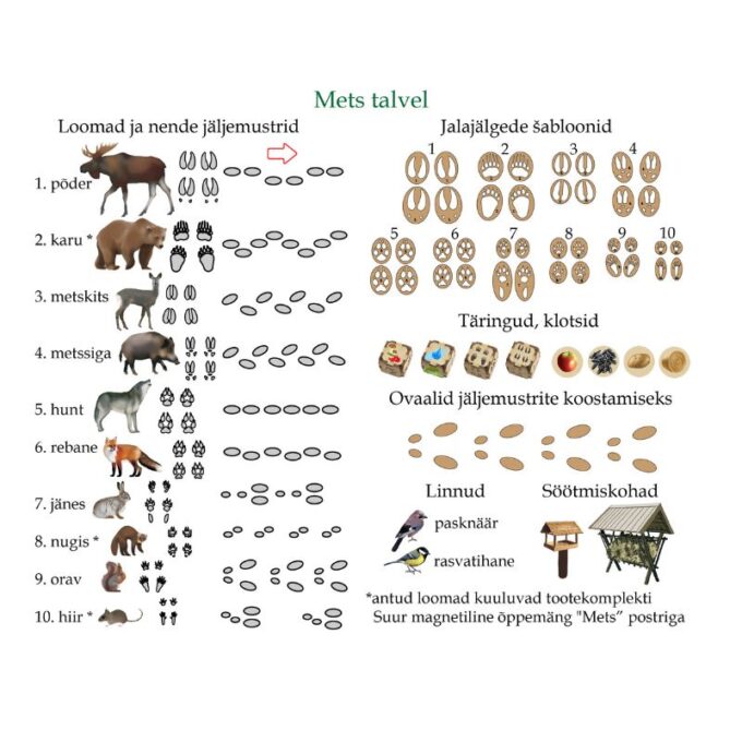 Suur magnetiline õppemäng "Mets talvel" postriga