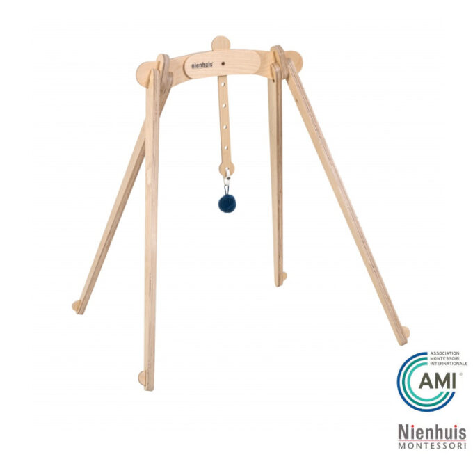 Heegeldatud pall tegeluskaarele - Nienhuis