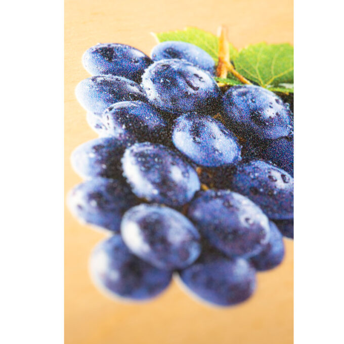 Puidust raamat "Puuviljad" - Nienhuis