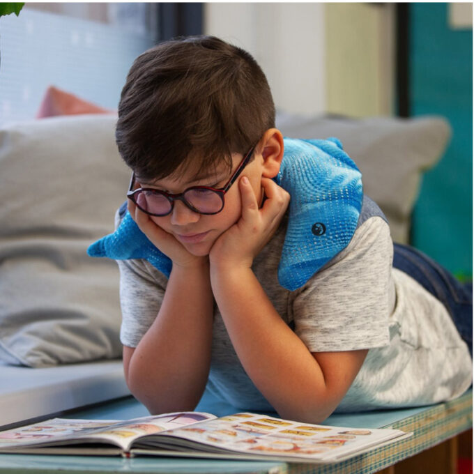 Manimo raskusloom delfiin (1kg)