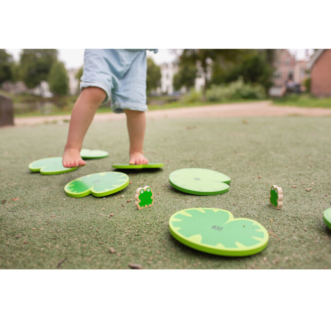 Tasakaalurada "Vesiroosid ja konnad"