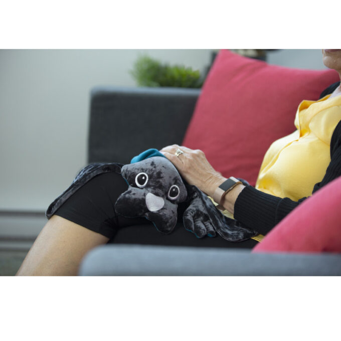 Manimo raskusloom koer (2kg)